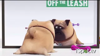 Universal Studios Hollywood TV Commercial The Secret Life of Pets Off the Leash Mirror