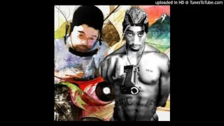 Nujabes/2Pac - Aruarian Dance/Dear mama