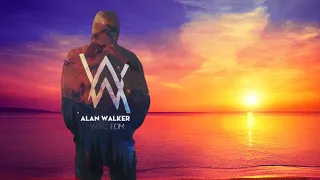 Alan Walker & Julie Bergan - Ritual [live] videoclip