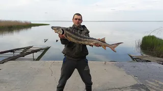 Постройка рыболовных сетей. Какими бывают модели