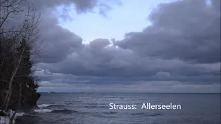 Richard Strauss: Allerseelen (arranged by Max Reger)