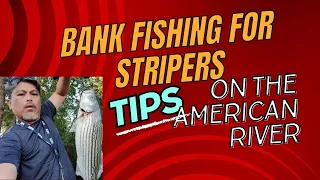 Bank Fishing tips for striped bass