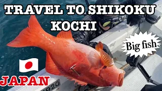 TRAVEL TO SHIKOKU KOCHI JAPAN 3rd day 四国 旅行 高知