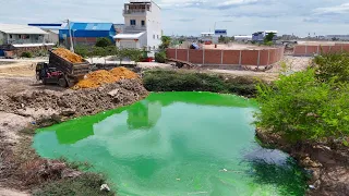 Starting New Proejct.Filling Land Delete Pond by Bulldozer KOMATSU Push Soil in Pond& Dump Truck 5T