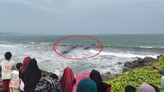 Dikira Batang Kayu, 2 Makhluk Hitam ini Mendadak Muncul di Pantai Anyer.! Wisatawan Panik Berlarian