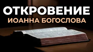 Откровение Иоанна Богослова. Апокалипсис. Читаем Библию вместе. УНИКАЛЬНАЯ  АУДИОБИБЛИЯ