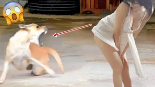 New Funny Videos 2024 😍 Cutest Cats and Dogs 🐱🐶 Part 1