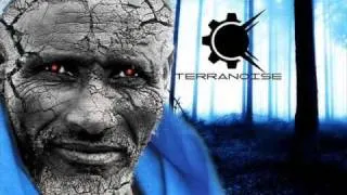 Terranoise - The Hidden Messages-DPsyV