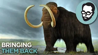 The Weird Plan To Fight Climate Change With Mammoths | Answers With Joe