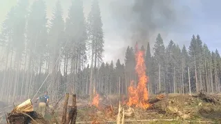 В Ревде горят леса - много дыма и огня