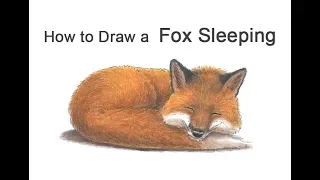 How to Draw a Fox (Sleeping)