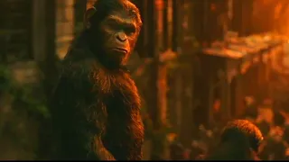 Cena Final | Planeta dos Macacos 2: O Confronto (2014) DUBLADO HD