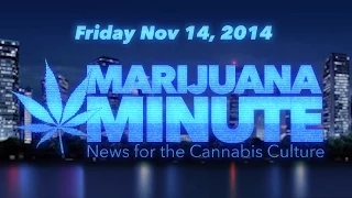 Marijuana Minute, Nov 14 2014: Marijuana Protects from Traumatic Injuries, Shrinks Brains