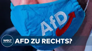 AfD-PARTEITAG: Droht eine Revolution vom rechten Rand?