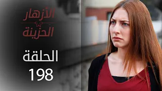 مسلسل الأزهار الحزينة | الحلقة 198 - الموسم الثاني