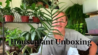 Houseplant Unboxing