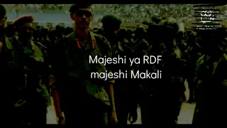 Majeshi Makali - RDF ( Lyrics) #rwanda #MajeshiMakali #lyrics