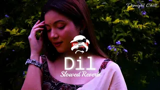 Dil -Lofi | Slowed And Reverb Lofi Mix | Raghav Chaitanya | Ek Villain Returns