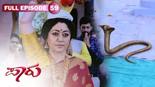Full Episode 59|ಅಖಿಲಾಗೆ ಹಾವು ಕಚ್ಚಿದೆ|ಅಖಿಲಾ ಪೂಜೆಯನ್ನು ಮುಗಿಸಿ |Paaru|New Serial|Zee Kannada Classics