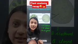 Plant anatomy quick recap | Dicot stem vs monocot stem | #neet #neet2023 #neet2024 #neetrevision