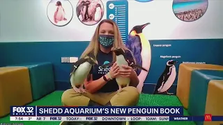 Shedd Aquarium releasing new children's book featuring beloved penguins