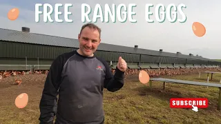 FREE RANGE EGGS! THE INS AND OUTS OF OUR POULTRY FARM!!