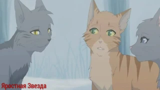 Коты - Воители  Крутобок и Серебрянка - Всё моё ( Заказ )
