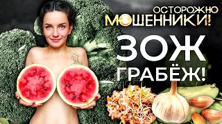 ЗОЖ – грабёж. Осторожно, мошенники!