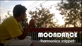 Moon Dance (August Rush)- Harmonica Snippet