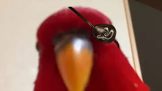 Red bird meme but it's Majima