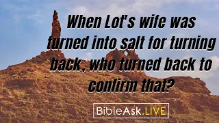 When Lot's wife was turned into salt for turning back, who turned back to confirm that?