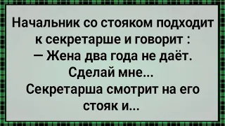 Начальнику Жена Два Года Не Давала! Сборник Свежих Анекдотов! Юмор!