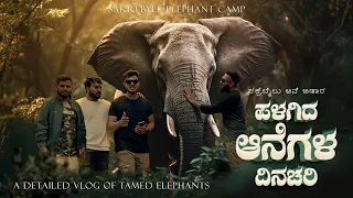 Sakrebyle Elephant Camp | ಸಕ್ರೆಬೈಲ್ ಆನೆ ಶಿಬಿರ | Tamed Elephants Routine | Shivamogga