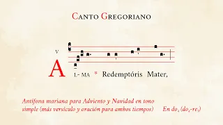 "Alma Redemptoris Mater" in simple tone (prayer incl.) – Marian antiphon for Advent and Christmas