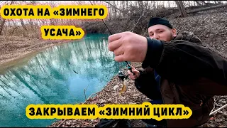 Охота на "Зимнего Усача Мурзака". Заключительное видео из зимнего цикла.