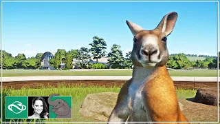 🐘 Kangaroo Habitat | City Zoo | Australia Pack | Speed Build | Planet Zoo