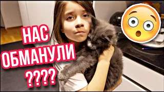 🎄VLOGMAS😔САМЫЙ ХУДШИЙ ДЕНЬ РОЖДЕНИЯ /😱ЧТО МЫ ОБНАРУЖИЛИ У ФИОНЫ