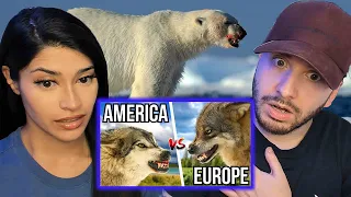 Brits React to 3 American Animals VS 3 European Animals