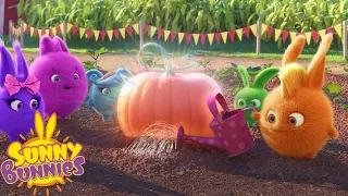 SUNNY BUNNIES - GARDENING | SEASON 7 HITS | Cartoons for Kids