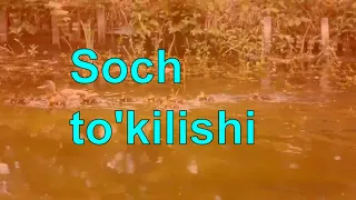 Soch to'kilishini davolash uy sharoitida | Sochlar to'kilishini oldini olish