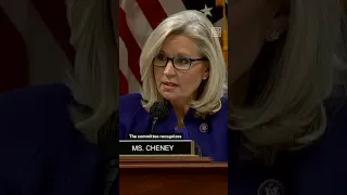 Liz Cheney: Trump Is 'Unfit for Any Office'