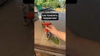 Как поменять подшипник на скейте‼️ #скейтбординг #скейтборд #skateboarding #скейтпарк #скейт