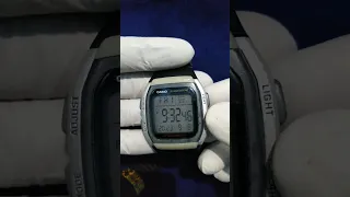 Hydro Mod casio W96.