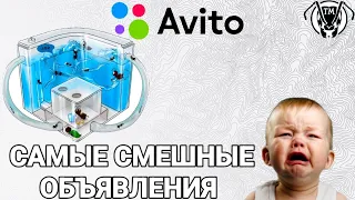 ТОП 9 САМЫХ УГАРНЫХ ОБЪЯВЛЕНИЙ НА АВИТО, МУРАВЬИНАЯ ФЕРМА  ТАПОК МИРА