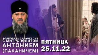 Толкование Евангелия с митр. Антонием (Паканичем). Пятница, 25 ноября 2022 года