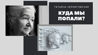 Куда мы попали? Цифровизация и человечность. Татьяна Черниговская