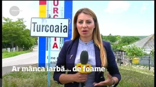 Caz şocant în judeţul Tulcea. O copilă de 13 ani ar fi ajuns să mănânce iarbă