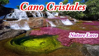 Cano Cristales,Columbia | Prettiest Natural Places On Earth | Nature Love | 😍 | Liquid Rainbow