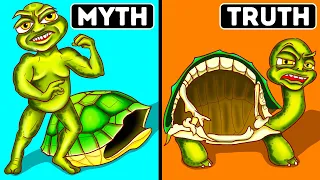 Schildkröten können ihren Panzer nicht verlassen + 70 Fakten über alles