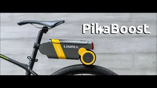 Install the PikaBoost